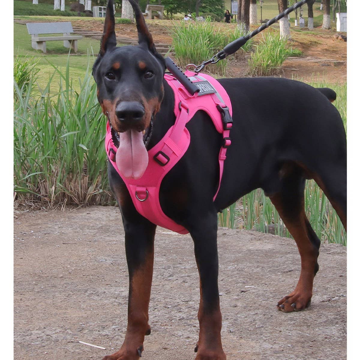 Reflective Tactical Dog Leash with Harness_CWMM12462