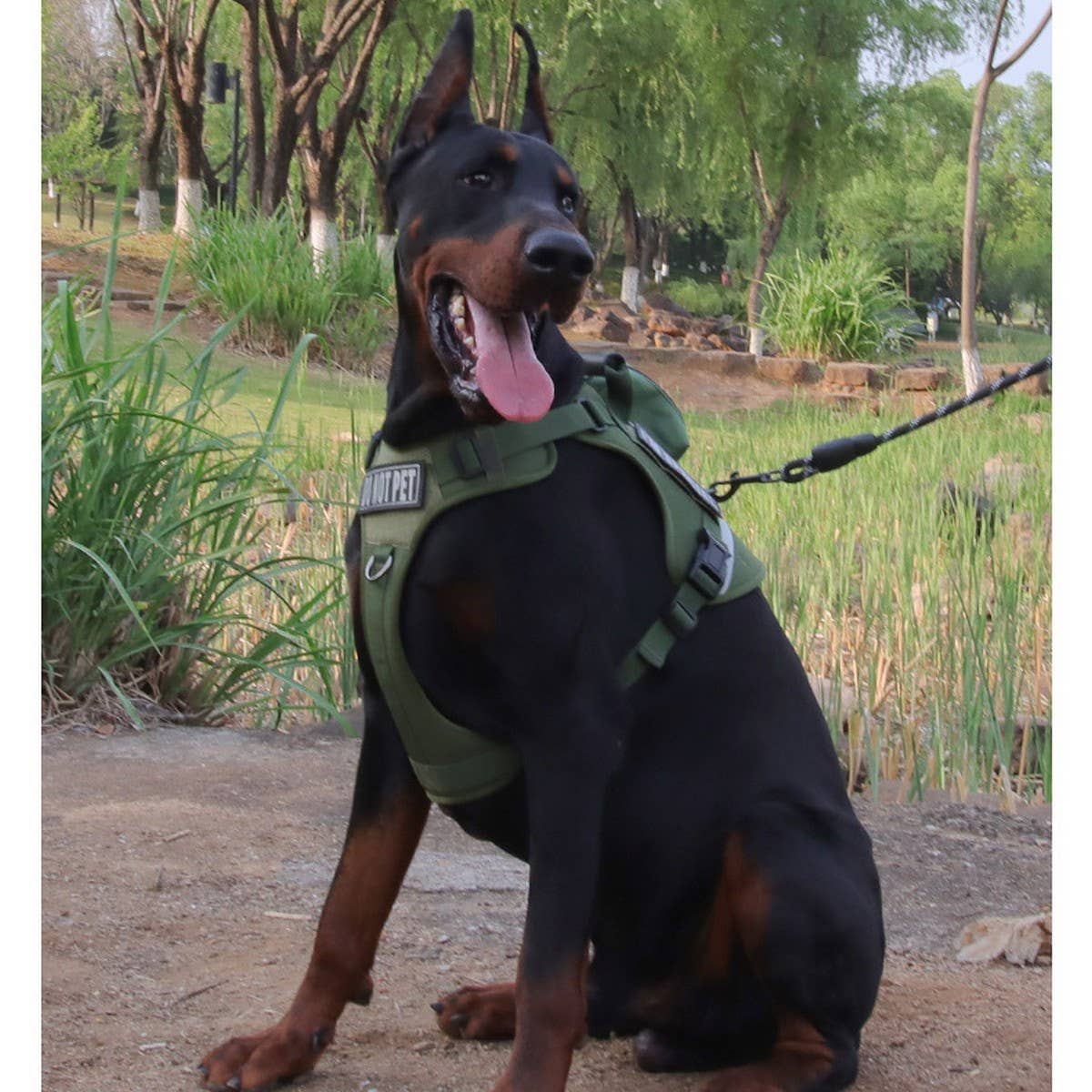 Reflective Tactical Dog Leash with Harness_CWMM12462