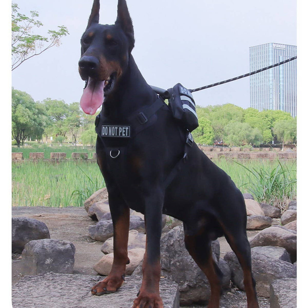 Reflective Tactical Dog Leash with Harness_CWMM12462
